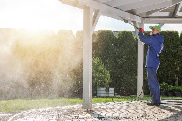 Best Gutter Cleaning  in Balm, FL